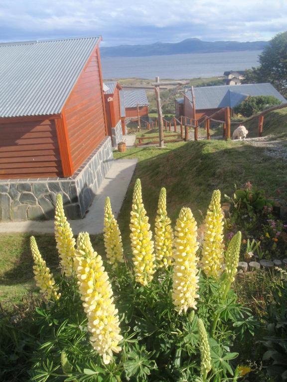 Terra Incognita Villa Ushuaia Bilik gambar